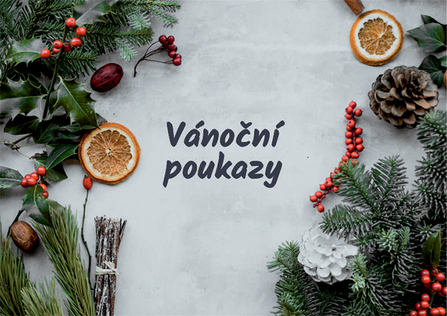 Vánoční poukazy na pobyt v Jeseníkách