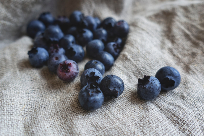 Blueberry feast in Malá Morávka 2020